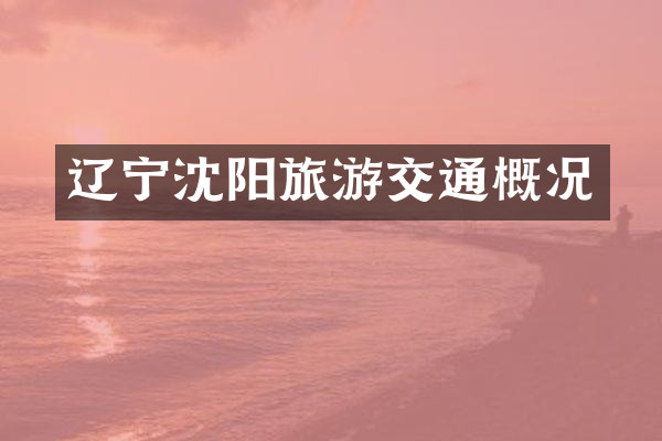 辽宁沈阳旅游交通概况