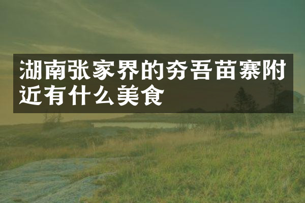 湖南张家界的夯吾苗寨附近有什么美食