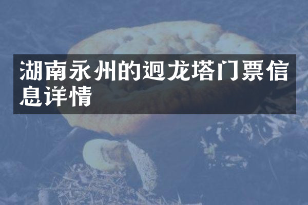 湖南永州的迥龙塔门票信息详情