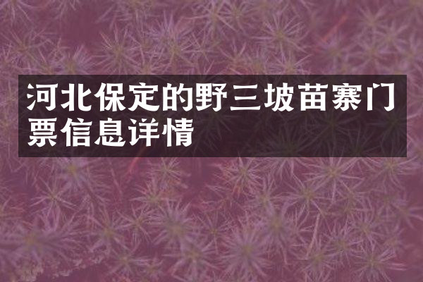 河北保定的野三坡苗寨门票信息详情