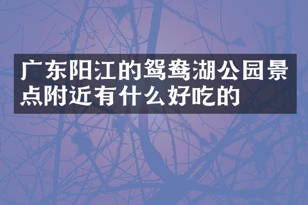 广东阳江的鸳鸯湖公园景点附近有什么好吃的