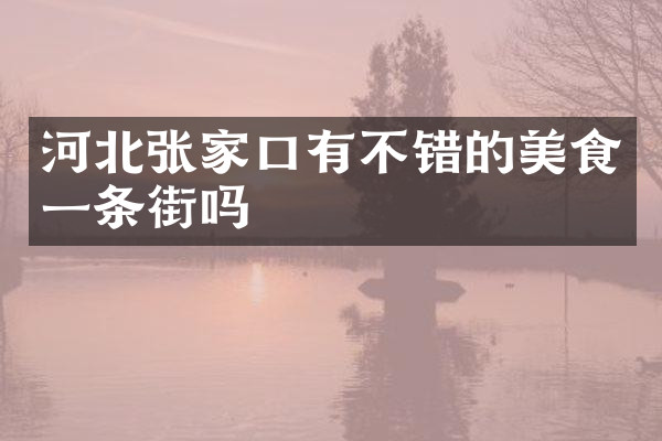 河北张家口有不错的美食一条街吗