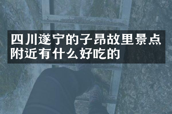 四川遂宁的子昂故里景点附近有什么好吃的