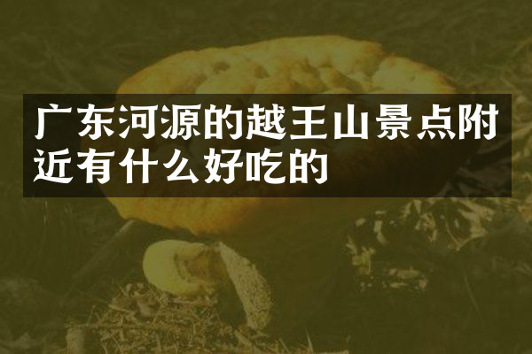 广东河源的越王山景点附近有什么好吃的