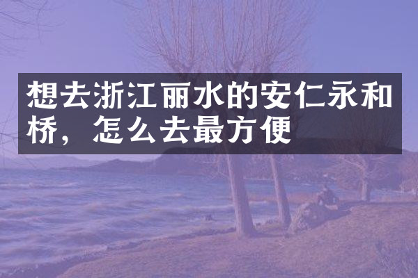 想去浙江丽水的安仁永和桥，怎么去最方便