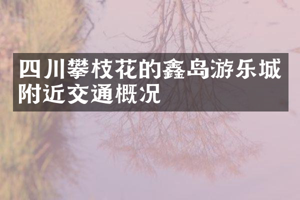 四川攀枝花的鑫岛游乐城附近交通概况