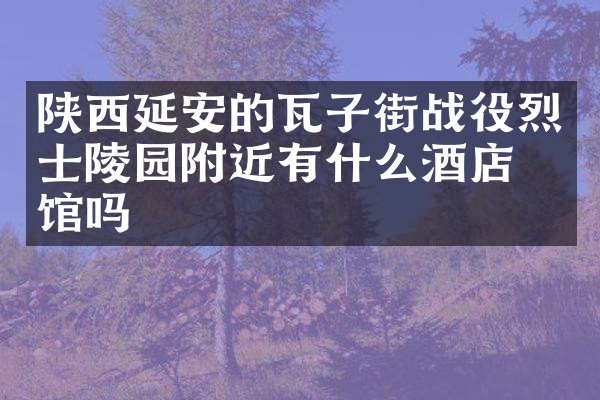 陕西延安的瓦子街战役烈士陵园附近有什么酒店旅馆吗