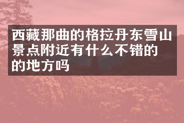 西藏那曲的格拉丹东雪山景点附近有什么不错的住的地方吗