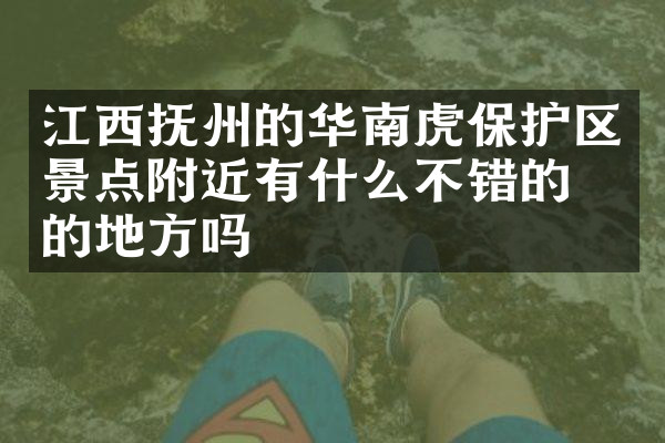江西抚州的华南虎保护区景点附近有什么不错的住的地方吗