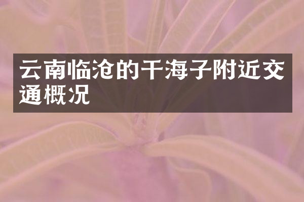 云南临沧的干海子附近交通概况
