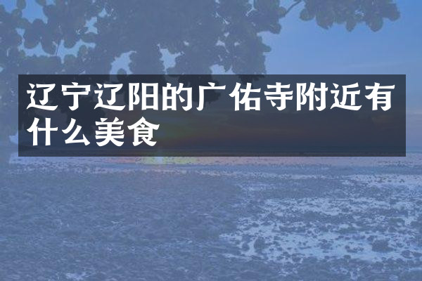 辽宁辽阳的广佑寺附近有什么美食