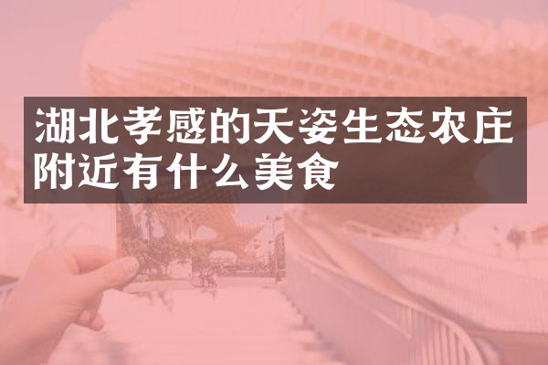 湖北孝感的天姿生态农庄附近有什么美食