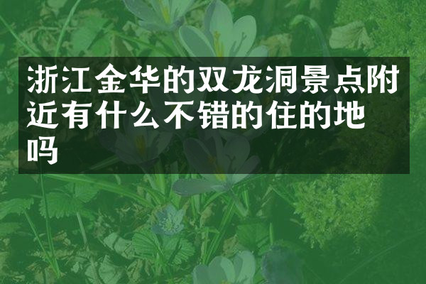 浙江金华的双龙洞景点附近有什么不错的住的地方吗