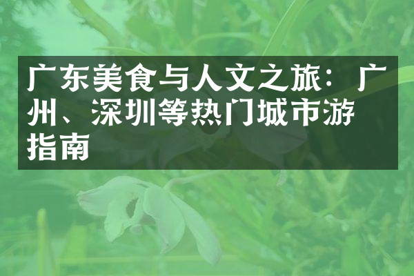 广东美食与人文之旅：广州、深圳等热门城市游玩指南