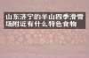 山东济宁的羊山四季滑雪场附近有什么特色食物吗