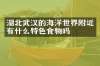 湖北武汉的海洋世界附近有什么特色食物吗