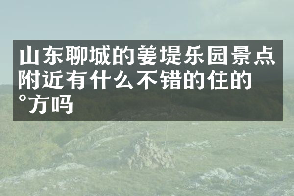 山东聊城的姜堤乐园景点附近有什么不错的住的地方吗