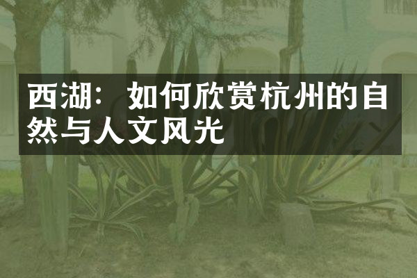 西湖：如何欣赏杭州的自然与人文风光