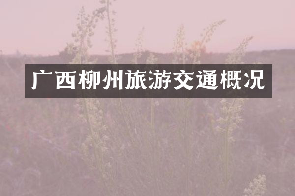 广西柳州旅游交通概况