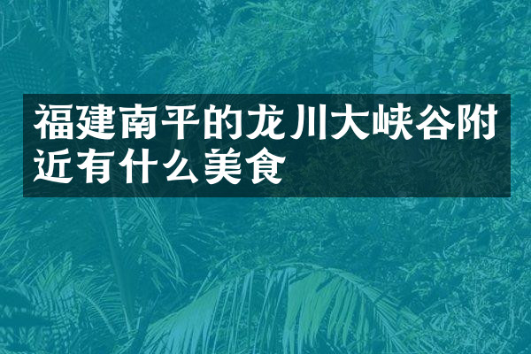 福建南平的龙川大峡谷附近有什么美食