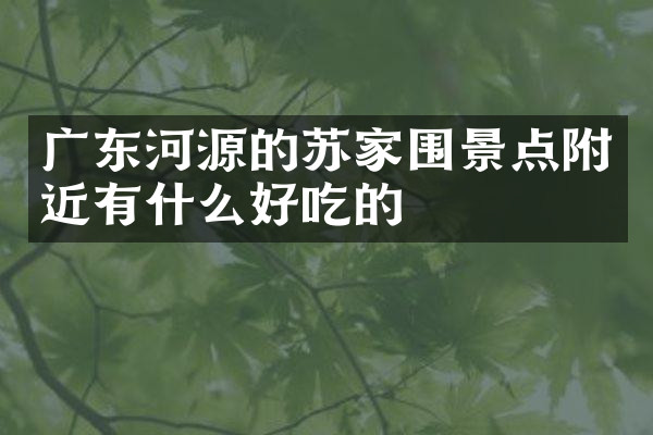 广东河源的苏家围景点附近有什么好吃的