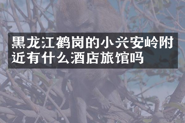 黑龙江鹤岗的小兴安岭附近有什么酒店旅馆吗