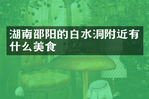 湖南邵阳的白水洞附近有什么美食