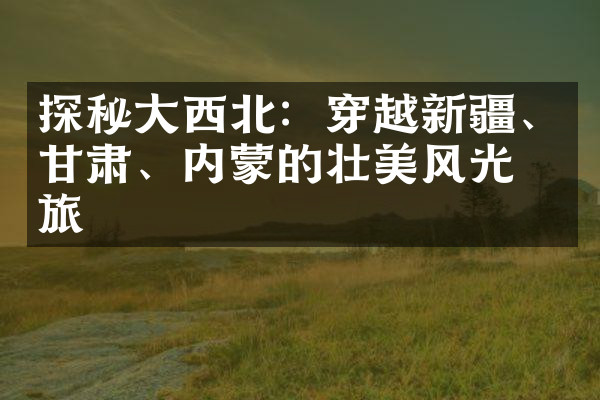 探秘大西北：穿越新疆、甘肃、内蒙的壮美风光之旅