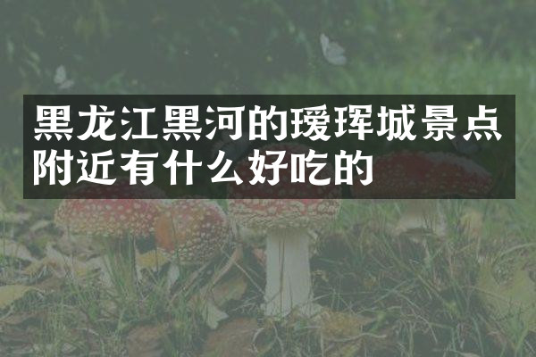 黑龙江黑河的瑷珲城景点附近有什么好吃的