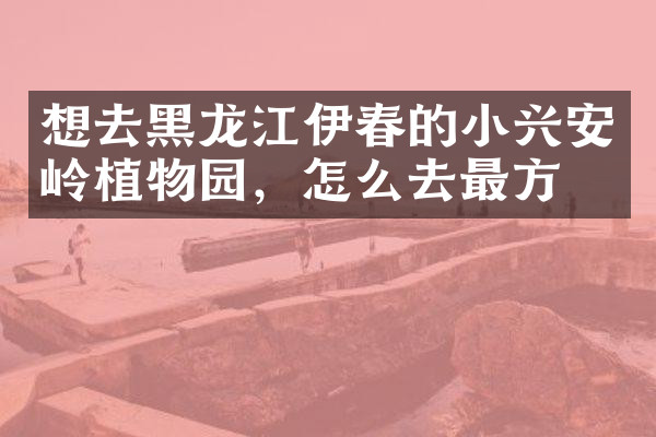 想去黑龙江伊春的小兴安岭植物园，怎么去最方便