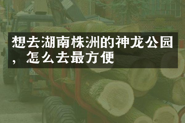 想去湖南株洲的神龙公园，怎么去最方便