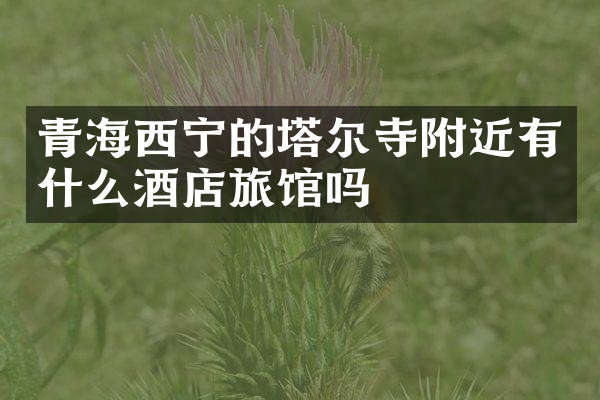 青海西宁的塔尔寺附近有什么酒店旅馆吗