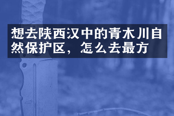 想去陕西汉中的青木川自然保护区，怎么去最方便