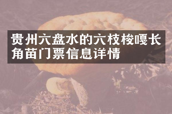 贵州六盘水的六枝梭嘎长角苗门票信息详情