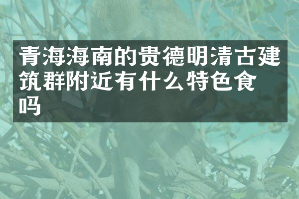 青海海南的贵德明清古建筑群附近有什么特色食物吗