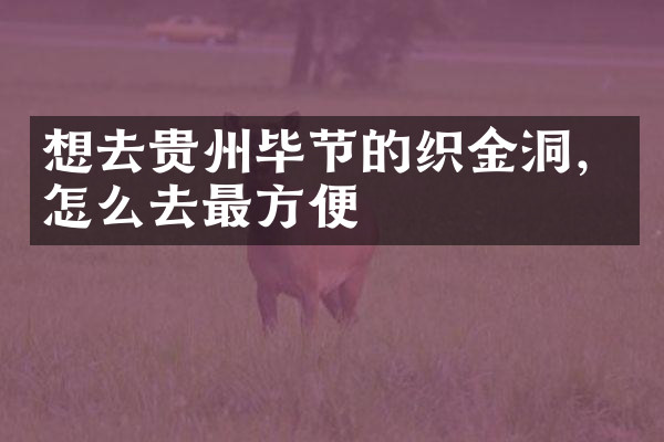 想去贵州毕节的织金洞，怎么去最方便