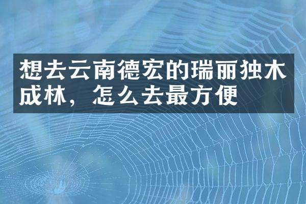 想去云南德宏的瑞丽独木成林，怎么去最方便