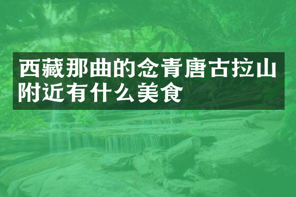 西藏那曲的念青唐古拉山附近有什么美食