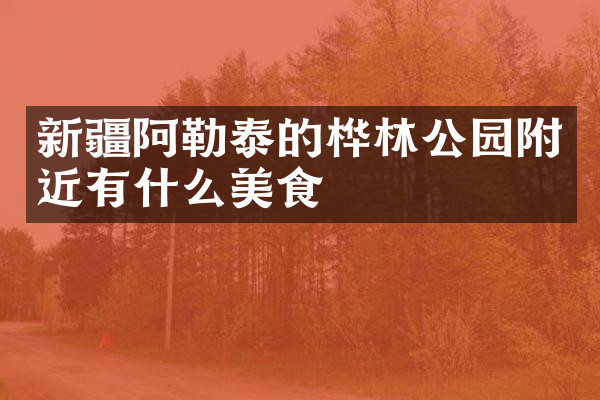 新疆阿勒泰的桦林公园附近有什么美食