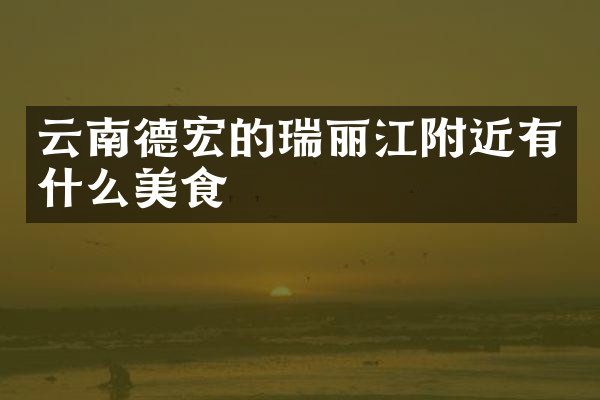 云南德宏的瑞丽江附近有什么美食