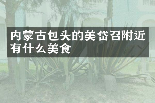 内蒙古包头的美岱召附近有什么美食
