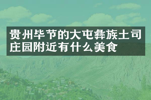 贵州毕节的大屯彝族土司庄园附近有什么美食