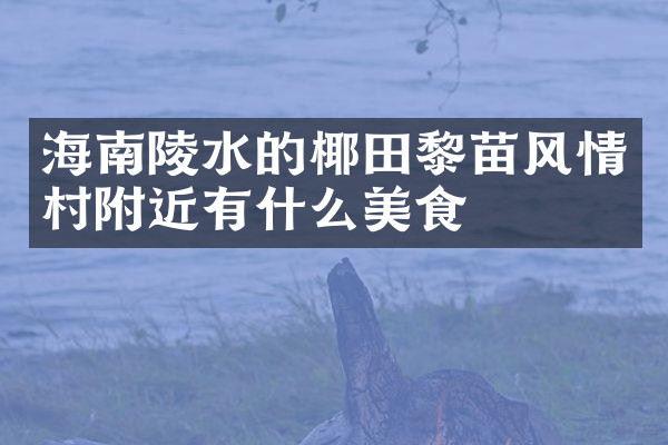 海南陵水的椰田黎苗风情村附近有什么美食