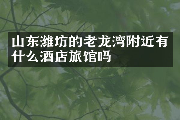山东潍坊的老龙湾附近有什么酒店旅馆吗