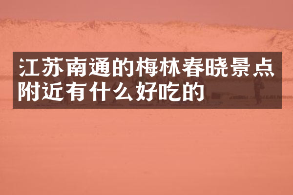 江苏南通的梅林春晓景点附近有什么好吃的