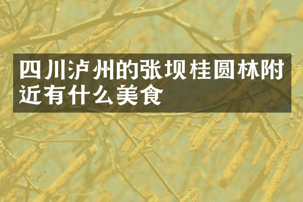 四川泸州的张坝桂圆林附近有什么美食