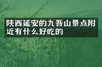 陕西延安的九吾山景点附近有什么好吃的