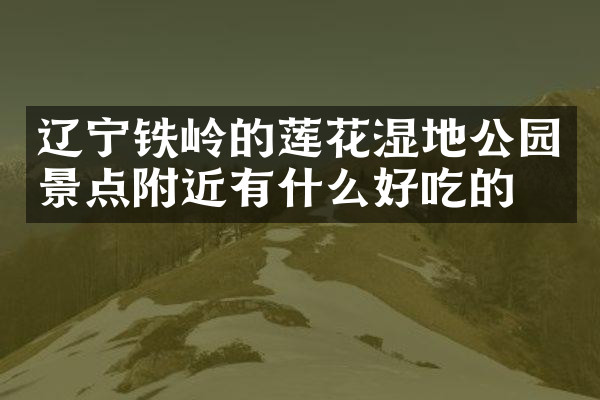 辽宁铁岭的莲花湿地公园景点附近有什么好吃的