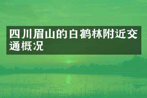 四川眉山的白鹤林附近交通概况