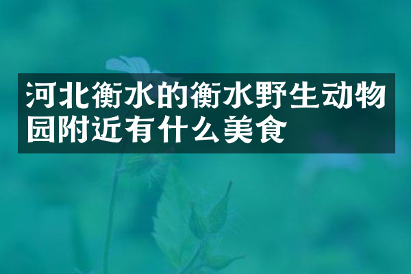 河北衡水的衡水野生动物园附近有什么美食